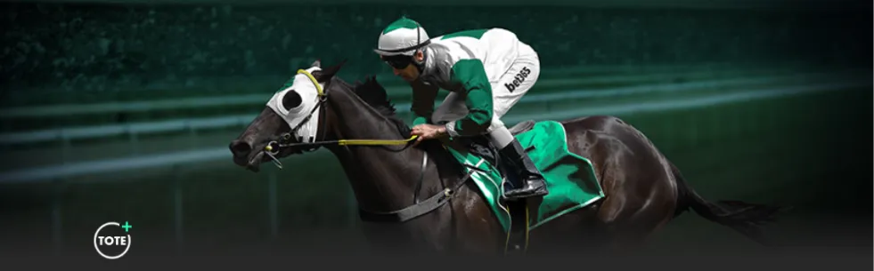 卢克曼去年,萌生退意,去年,完美体育,WMSports,完美体育官网,完美体育官网,完美体育下载,完美体育APP