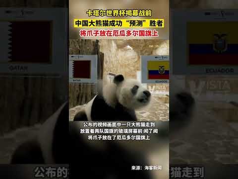 利物浦月最,佳花落中场,新星巴伊切,完美体育,WMSports,完美体育官网,完美体育官网,完美体育下载,完美体育APP