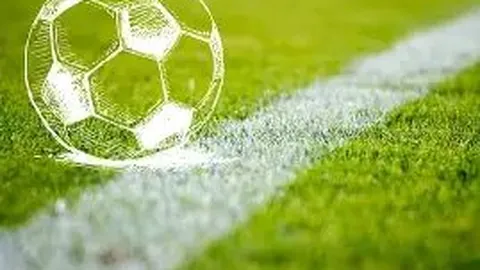 “王楚钦食堂打饭引关注，全红婵助力引发热议，网友评论笑料不断”